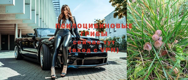 соль ск Алексеевка
