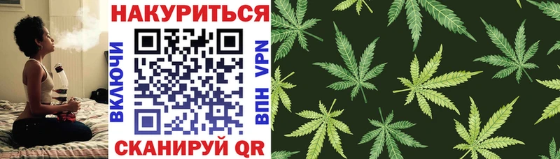 Каннабис OG Kush  закладка  Нелидово 